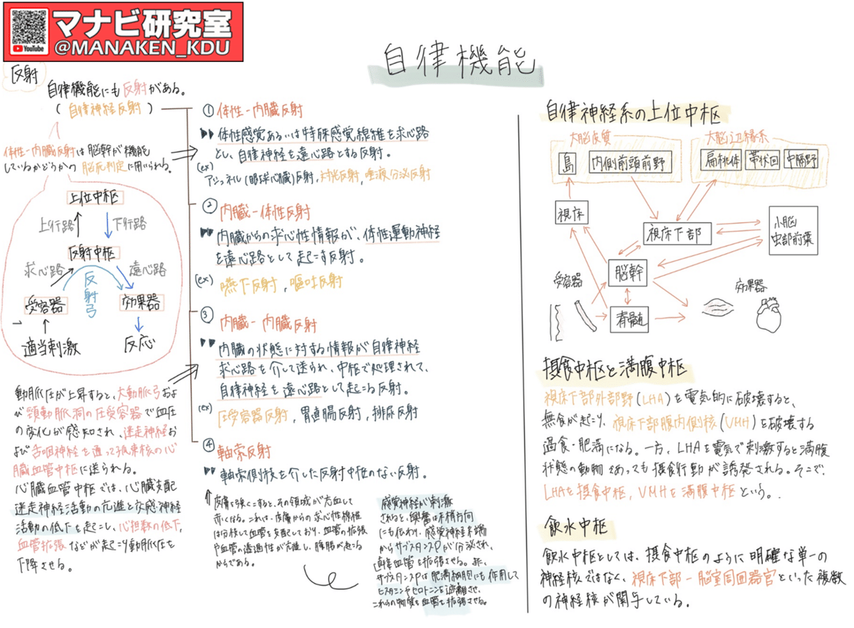 体性―自律神経反射の生理学 物理療法,鍼灸,手技療法の理論 体性‐自律神経反射の生理学 物理療法、鍼灸、手技療法の理論