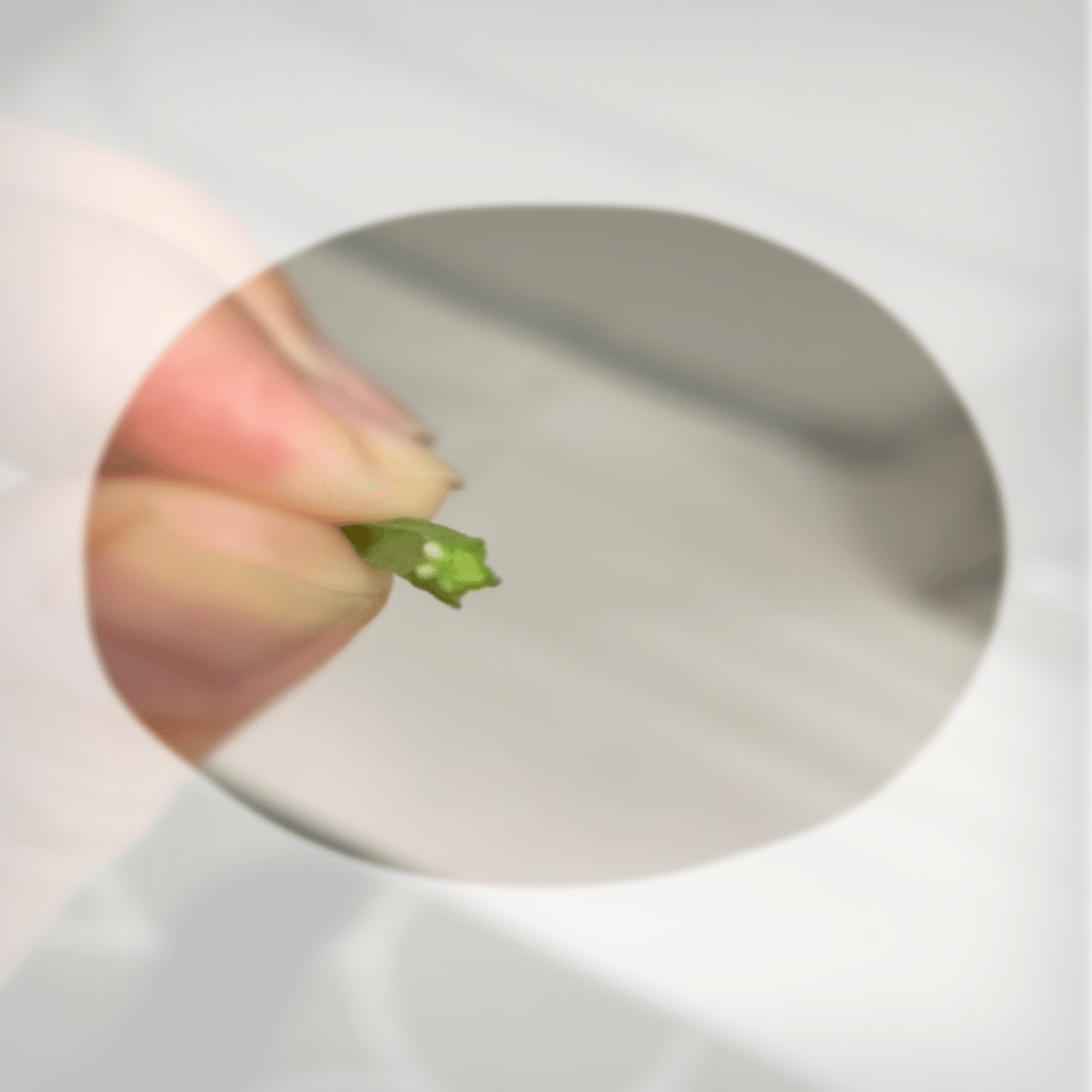 バラを育てているはずが バラの鉢に生えた雑草をじっくり観察して楽しんじゃった話 塩辛いか乃 当たり前を疑うアラフィフ主婦ライター Note