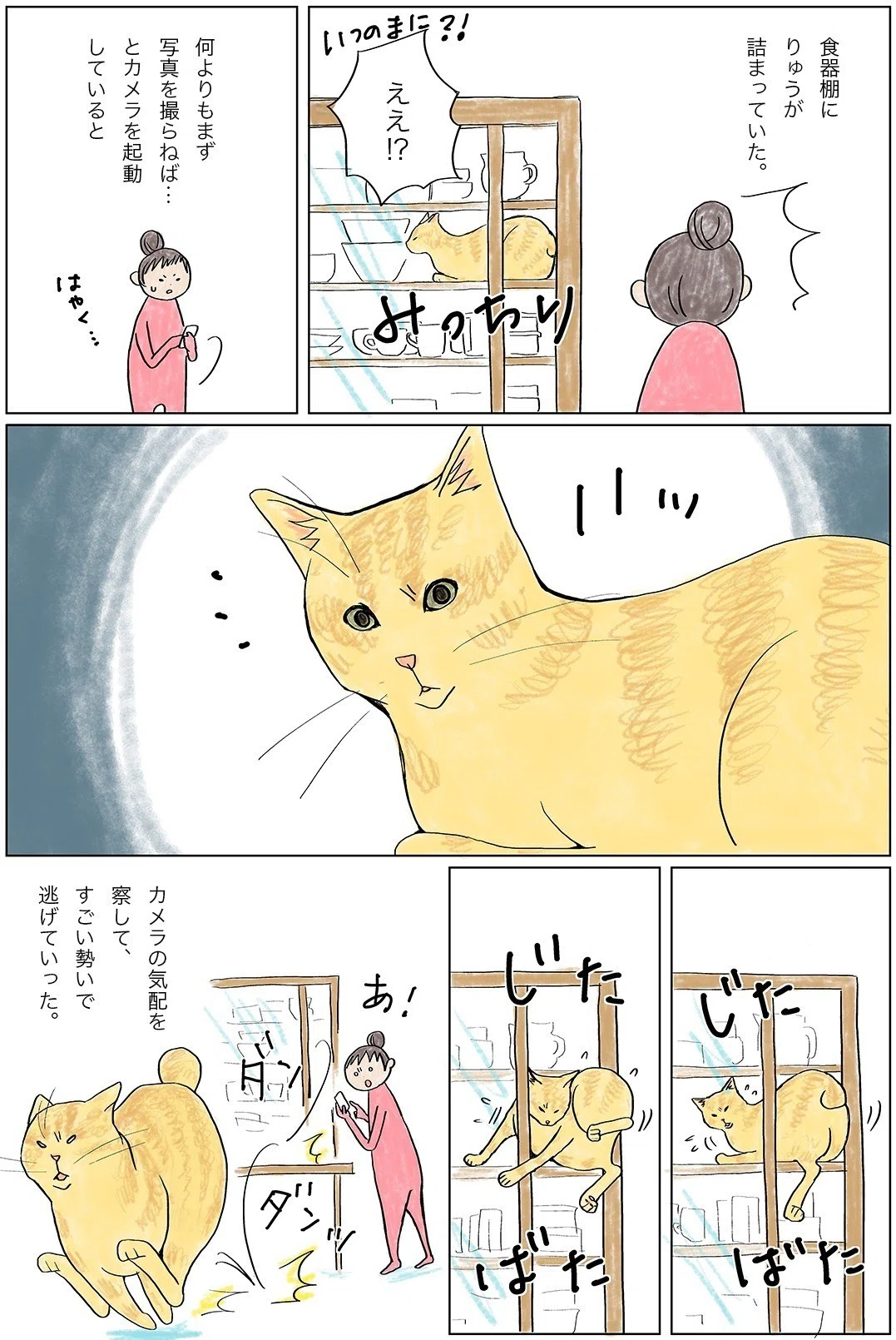 無断撮影禁止 千尋 Note
