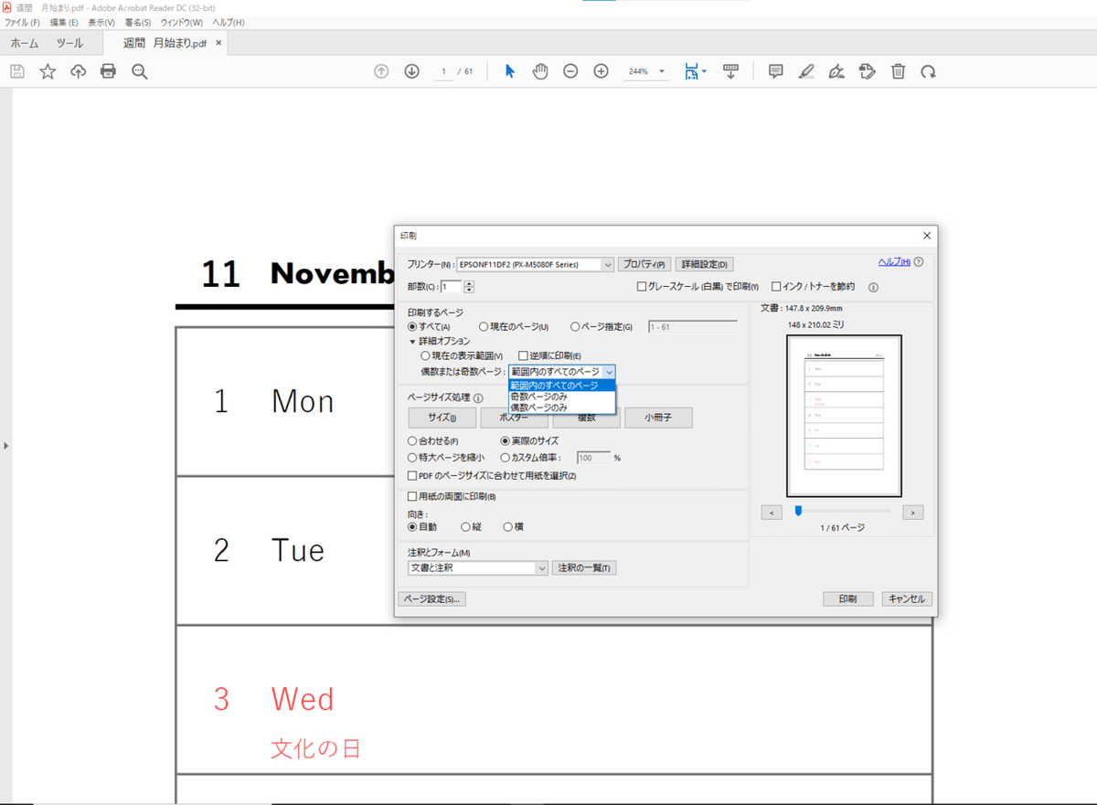 5・スクリーンショット　印刷画面　印刷するページ_詳細オプション　範囲設定