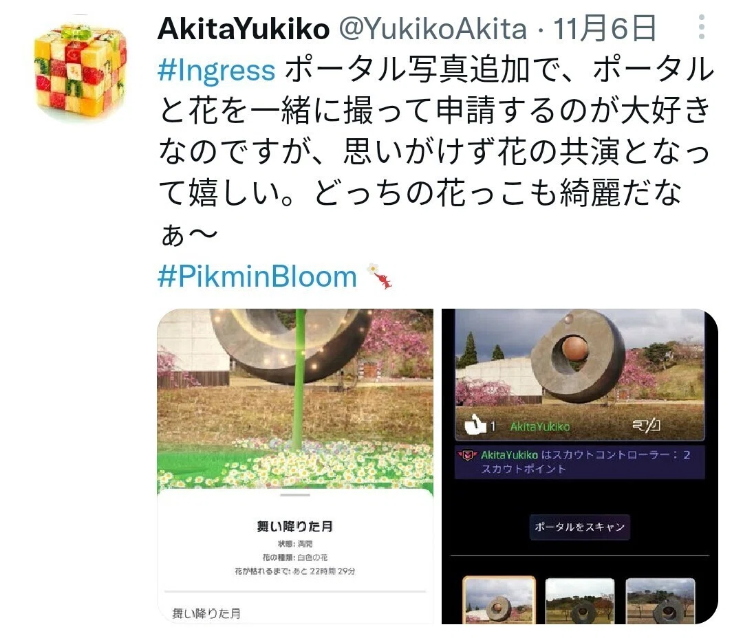 11月のピクミンブルーム日記 Akitayukiko Note