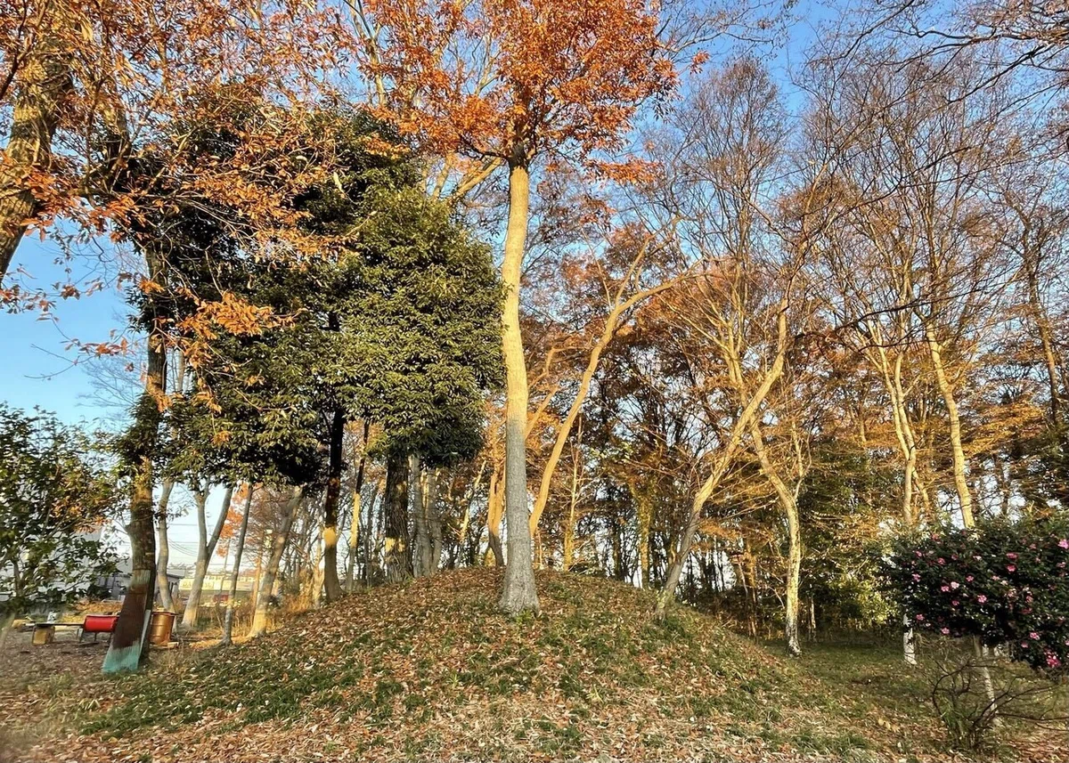 画像31