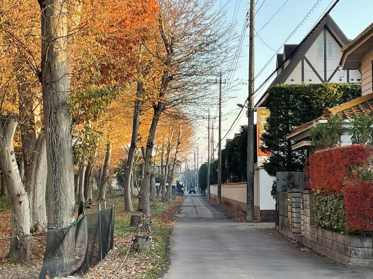画像33