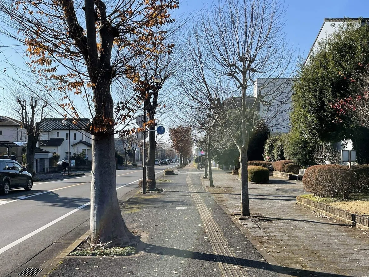 画像77