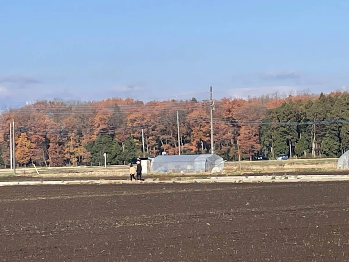画像88
