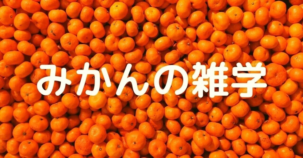 鏡餅に飾られているのは「みかん」ではない？！実は知らないみかんの