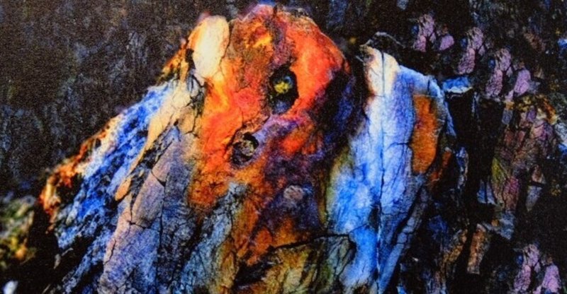 言葉の生まれるとき の新着タグ記事一覧 Note つくる つながる とどける