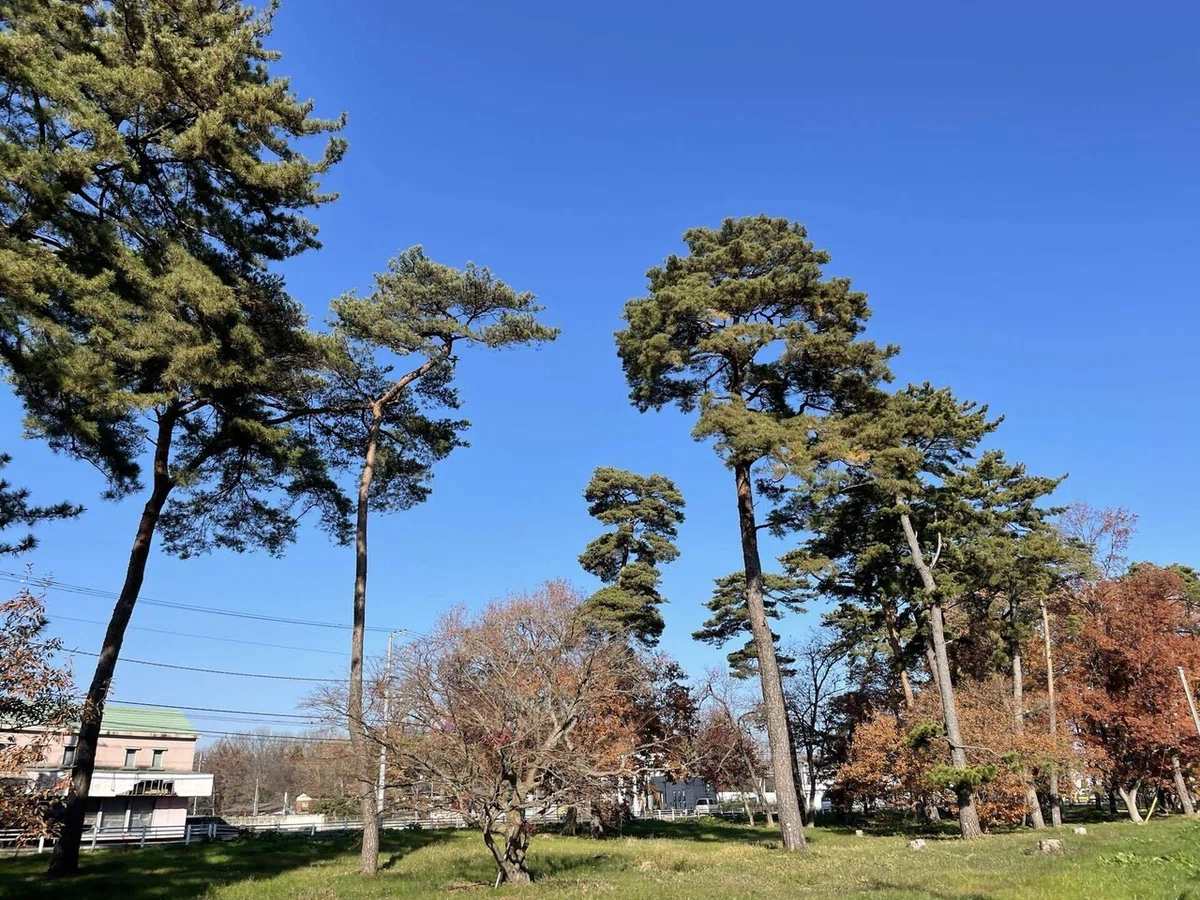 画像95