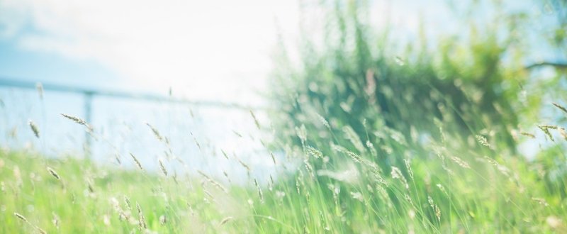 まるでひと夏の恋のようだった