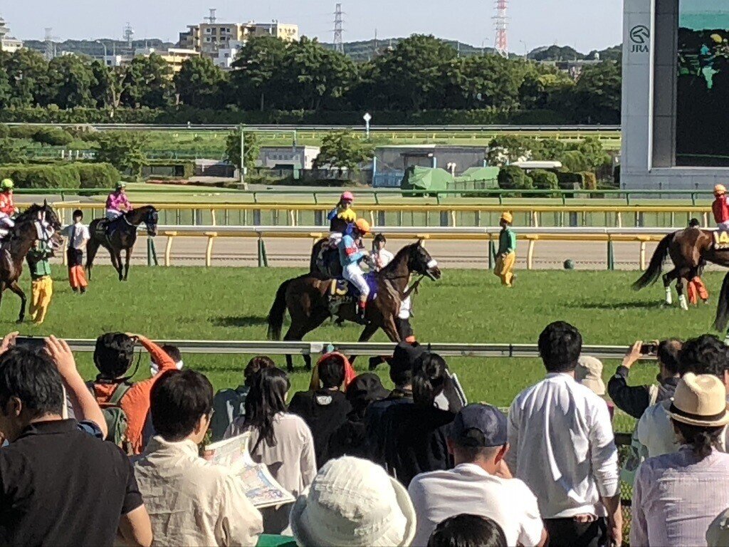 アーモンドアイのエンジンと、手前のこと｜稲庭うどん