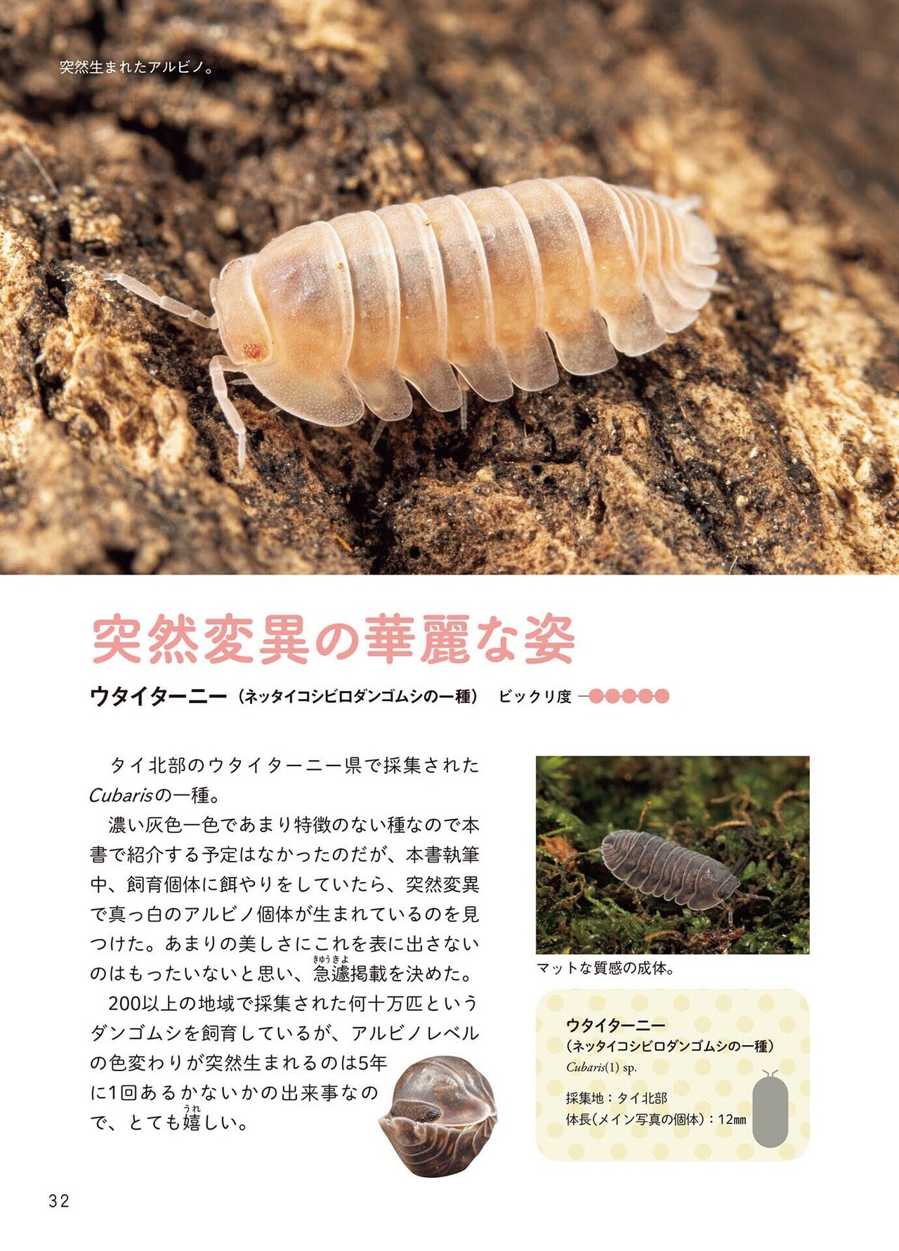 子育ては放任主義「フチゾリネッタイコシビロダンゴムシ」…世界中の