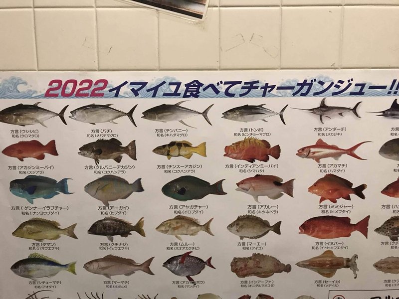 沖縄の魚たち うちなんちゅー Note