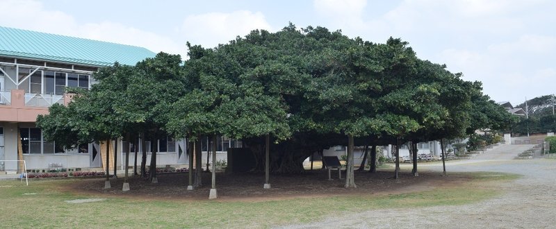 鹿児島県和泊町を踏破　その３＜日本全市町村踏破（制覇）＞