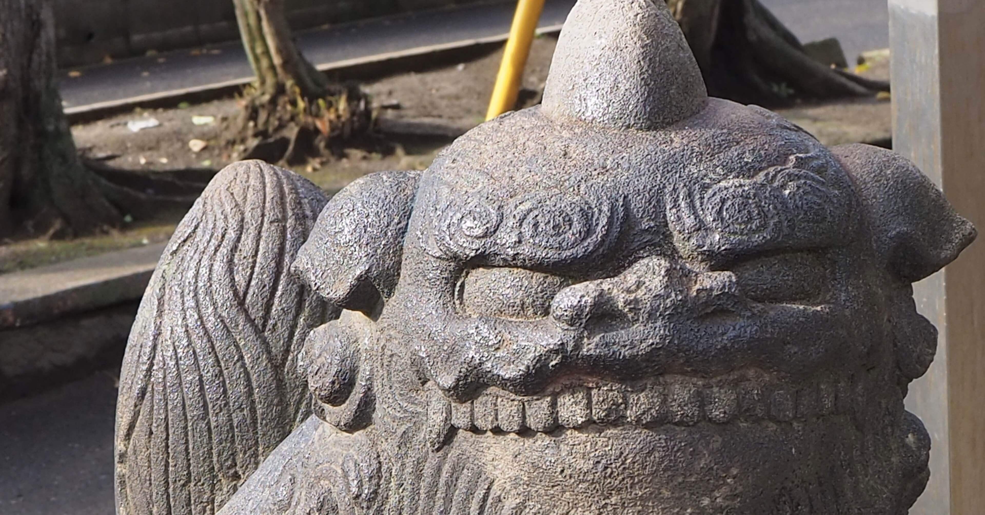 56cb54d021babdfcb196476a23b253