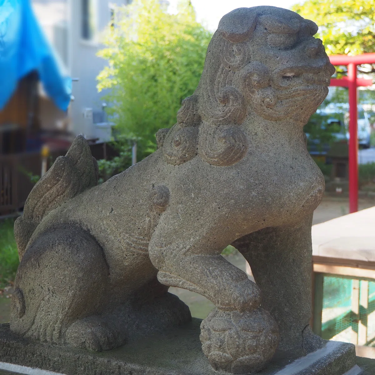 画像4