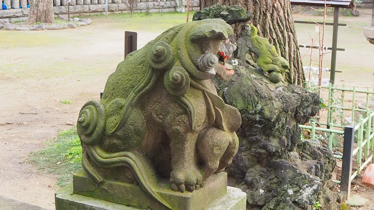 画像9