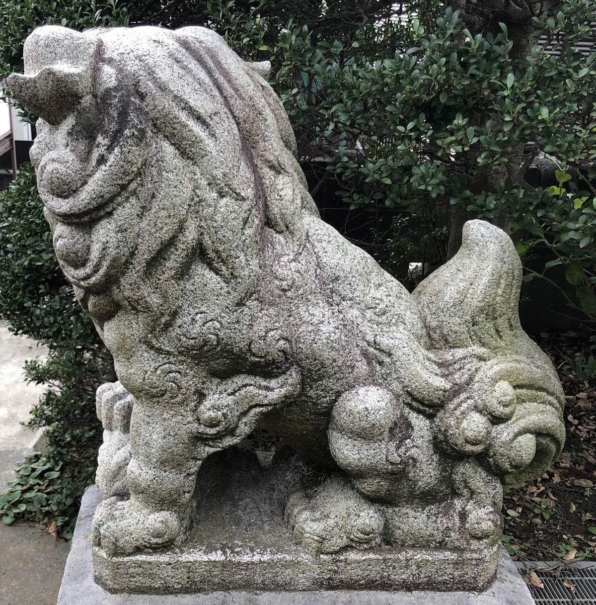 画像50