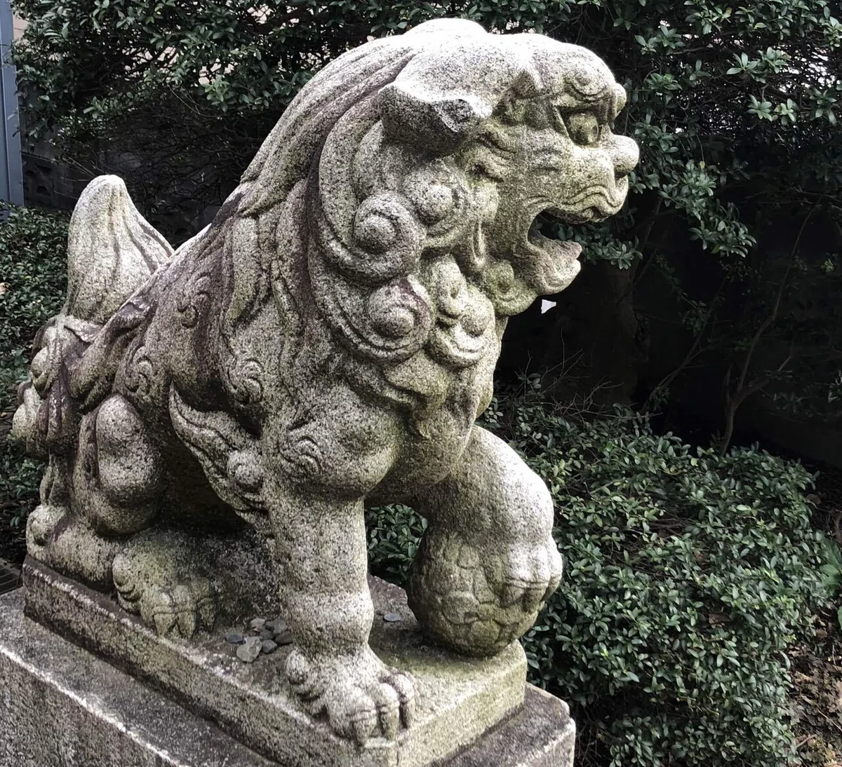 画像46