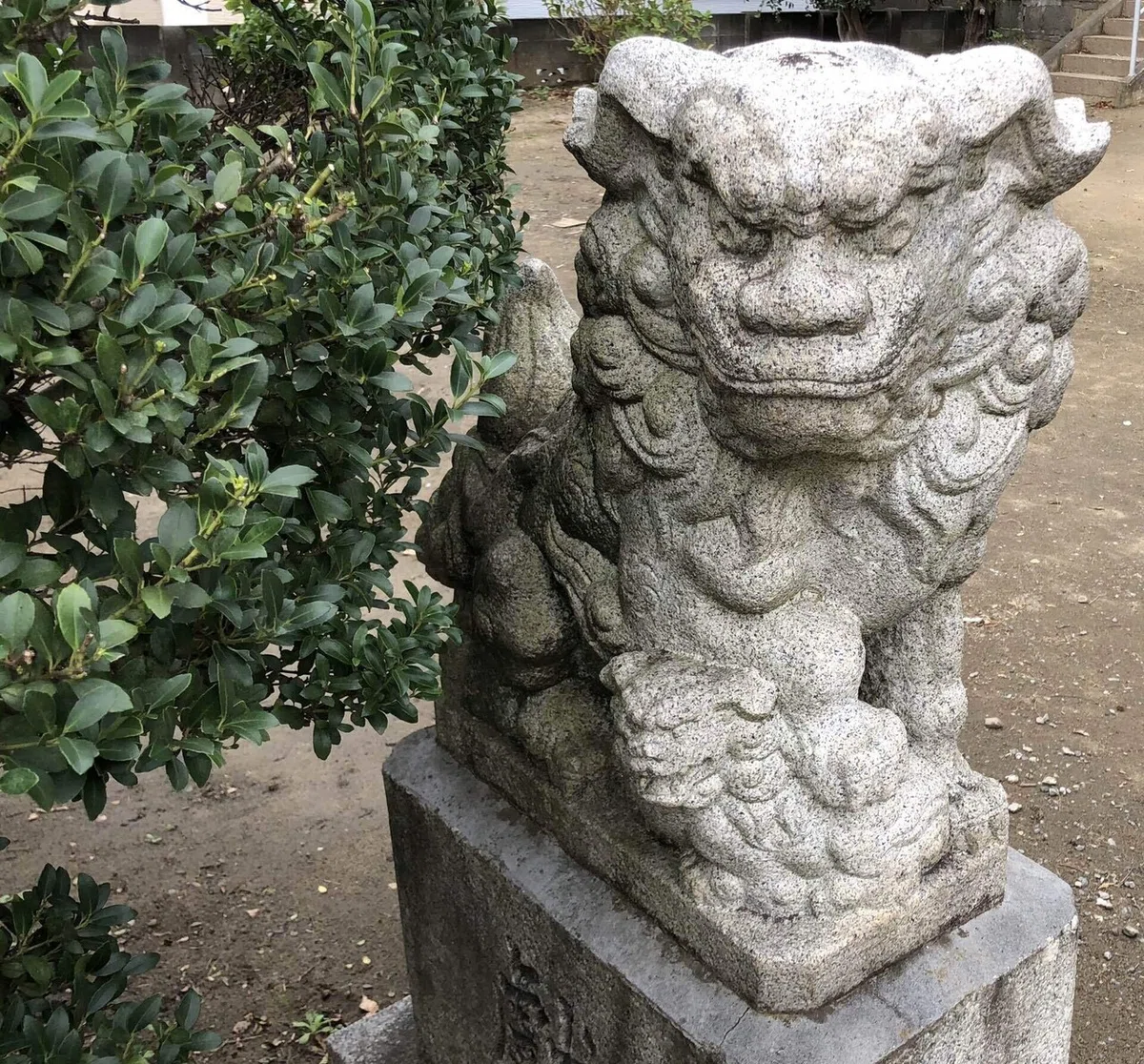 画像48
