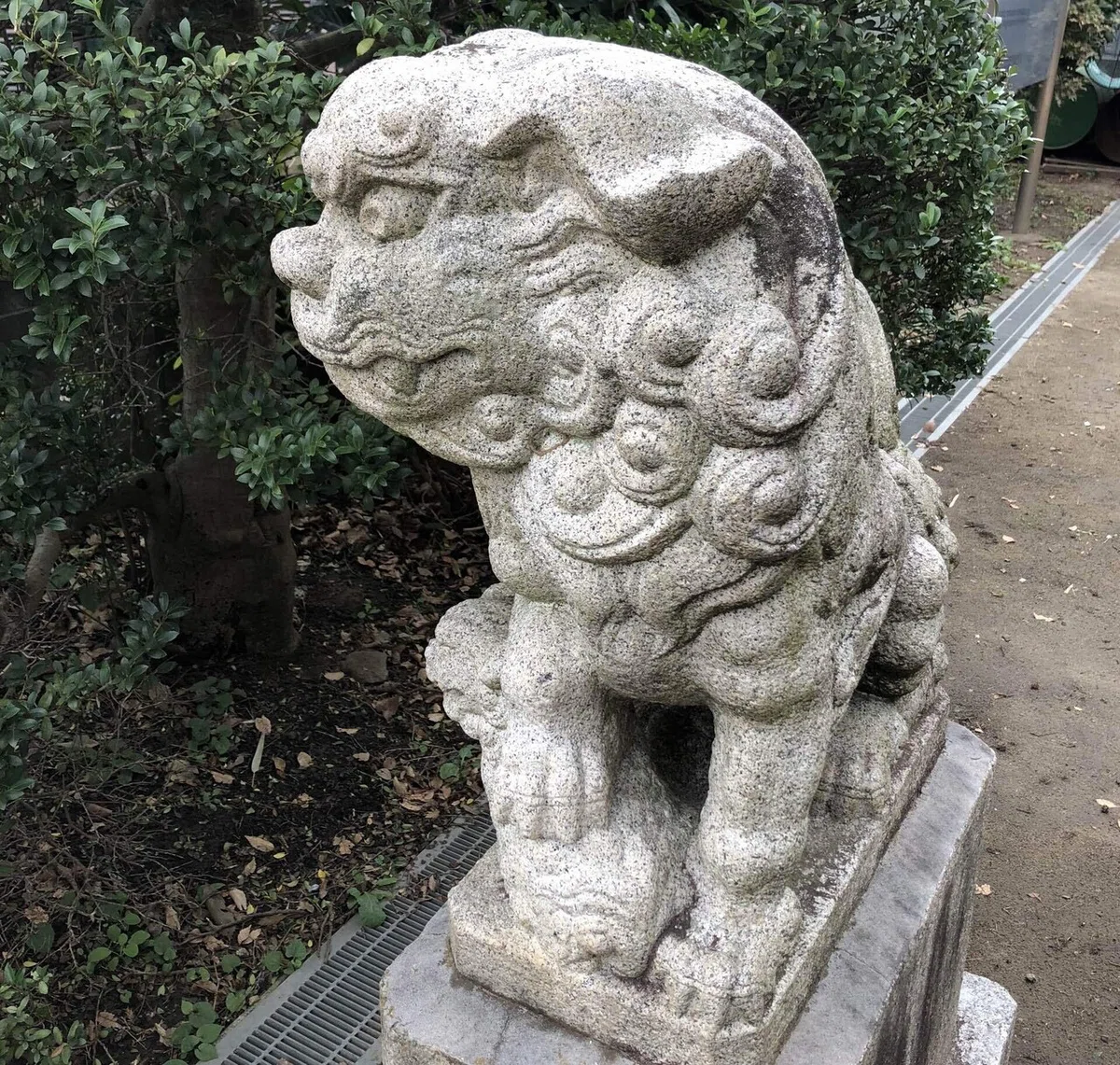 画像49