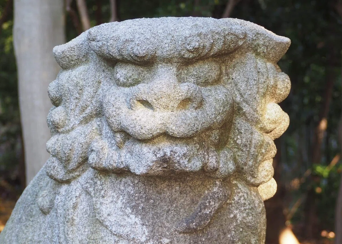 画像41