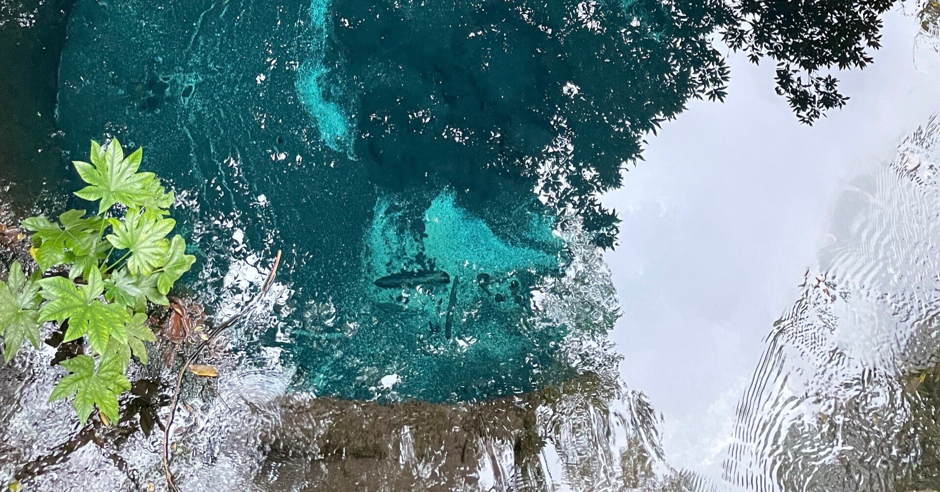 コメントはこちらへどうぞ 12月 ３ 勇気 元気 のん気 そして 回 声のメルマガ 服部みれいのすきにいわせてッ Note