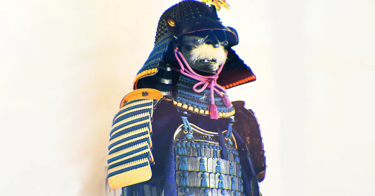 èŠåºãç»å