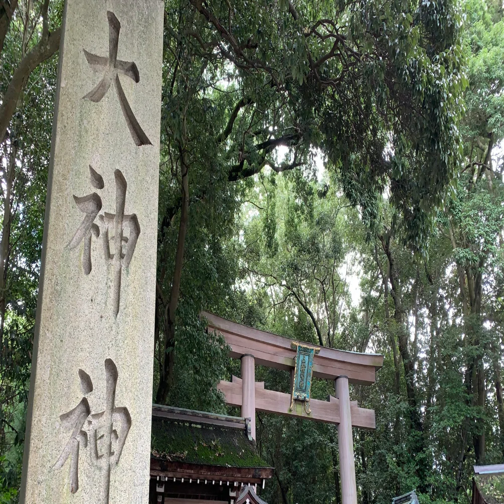 大好きな大神神社】御祭神と隠れたパワースポット｜市口 哲也