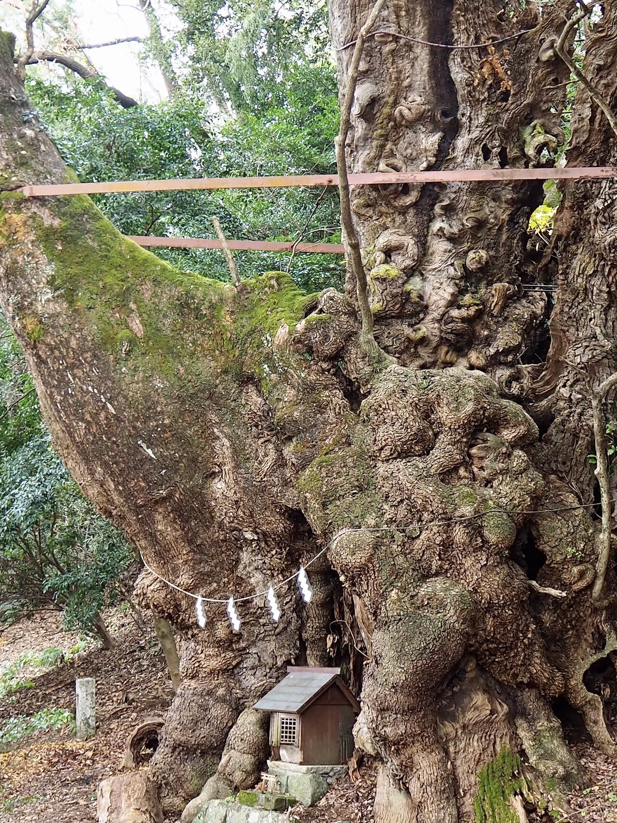 画像53