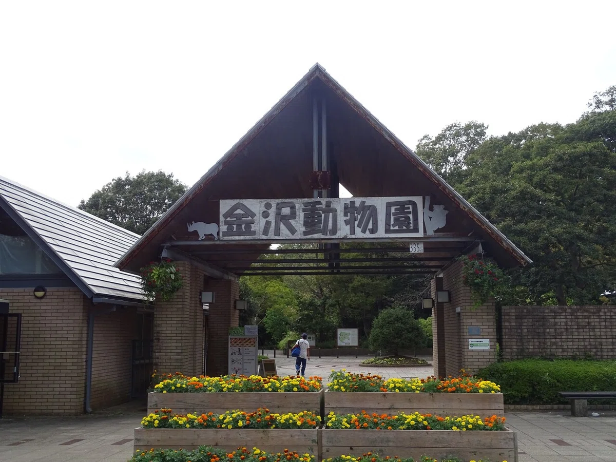 画像8