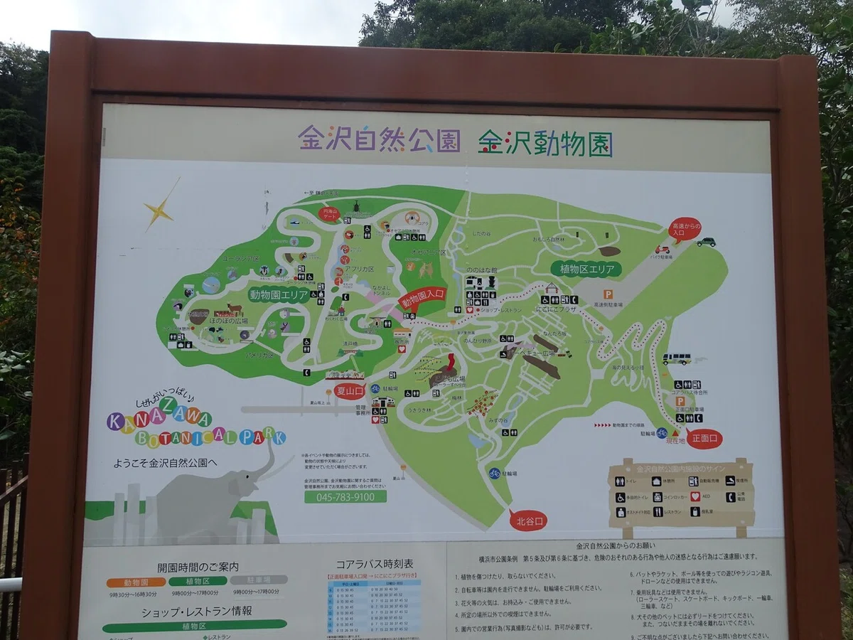 画像5