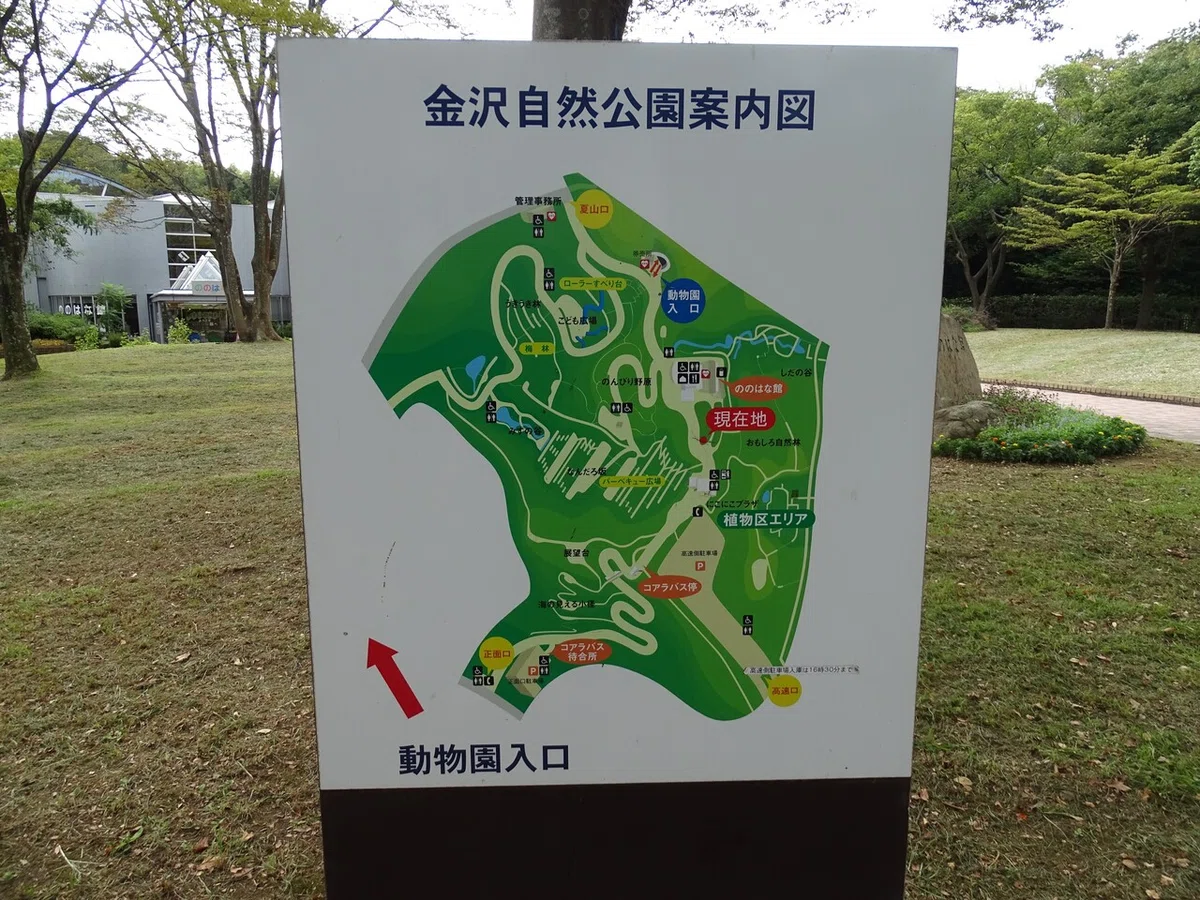 画像11
