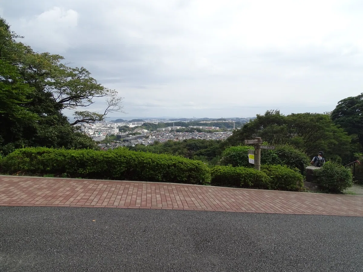 画像1