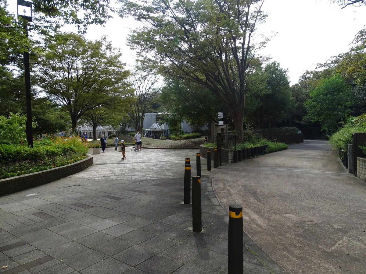 画像9
