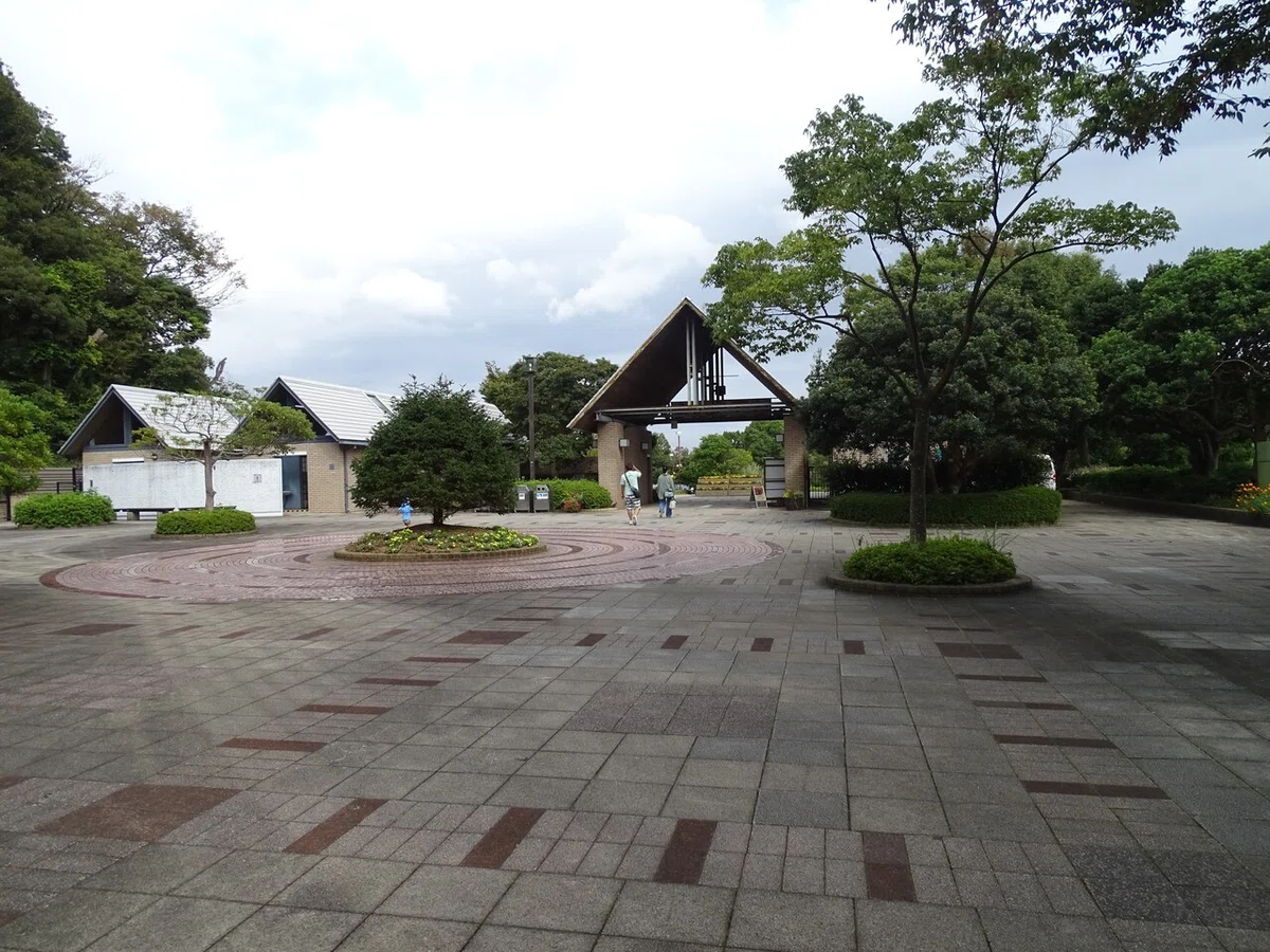 画像10