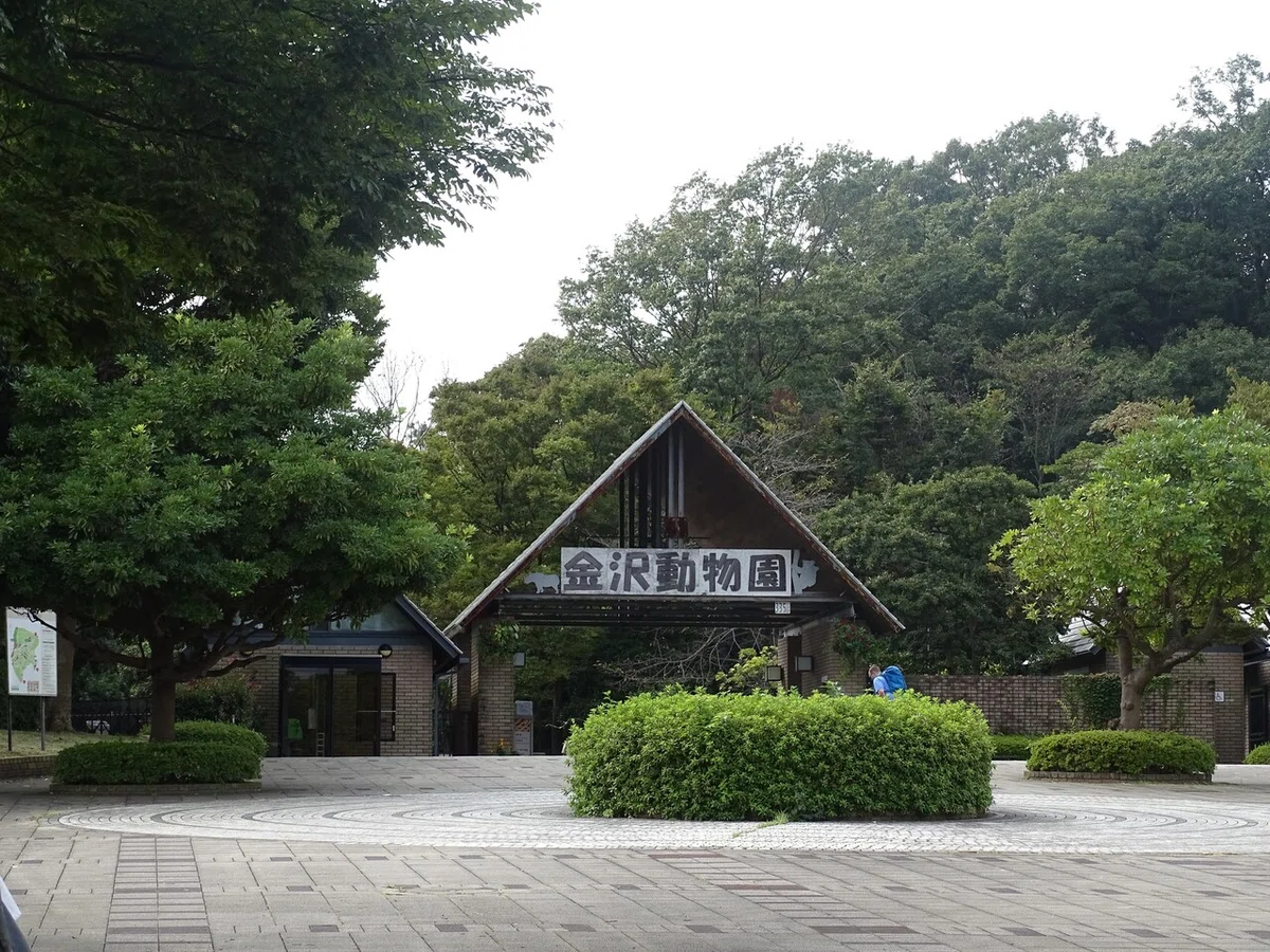 画像6