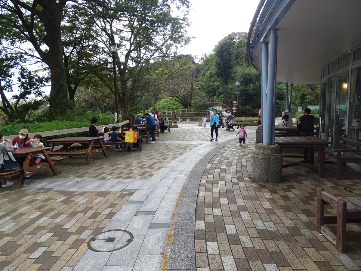 画像14