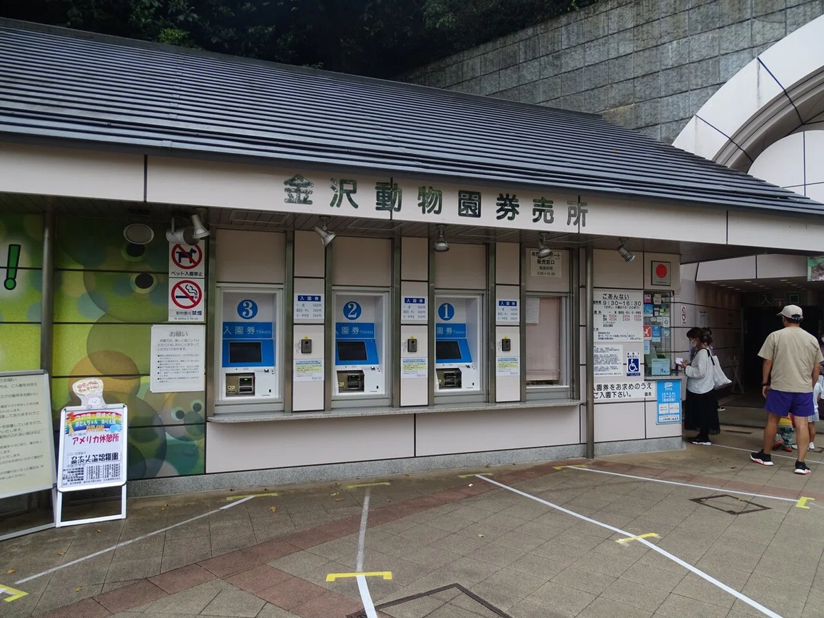 画像16