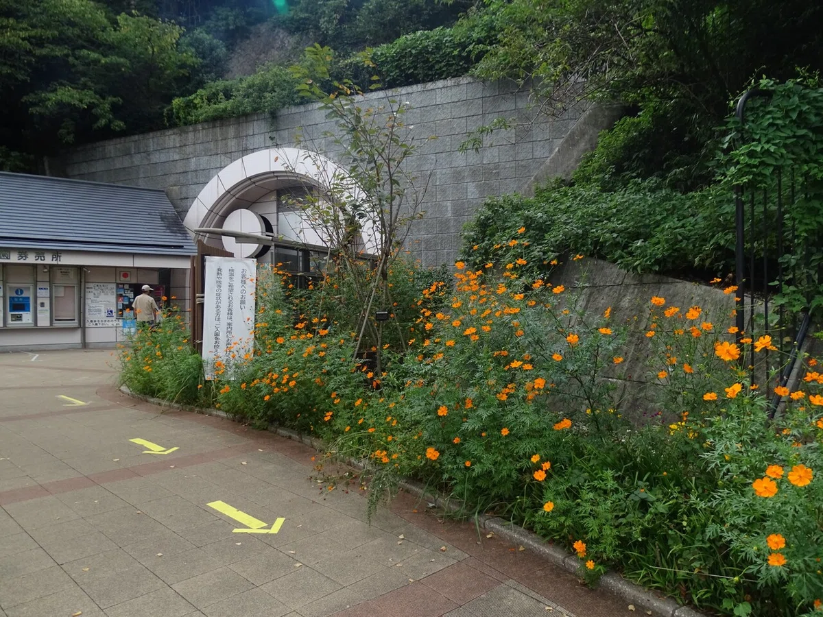 画像17