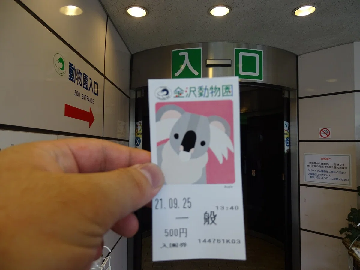 画像19