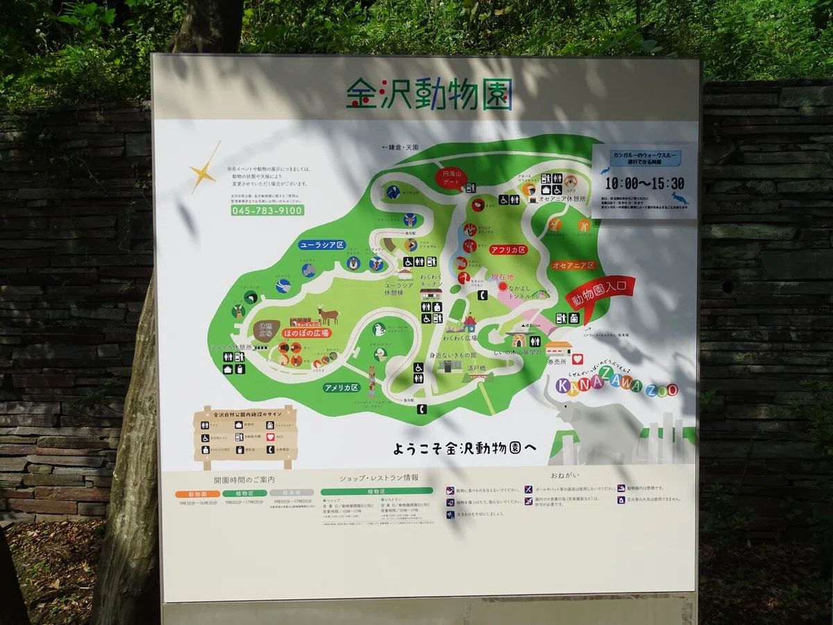 画像33