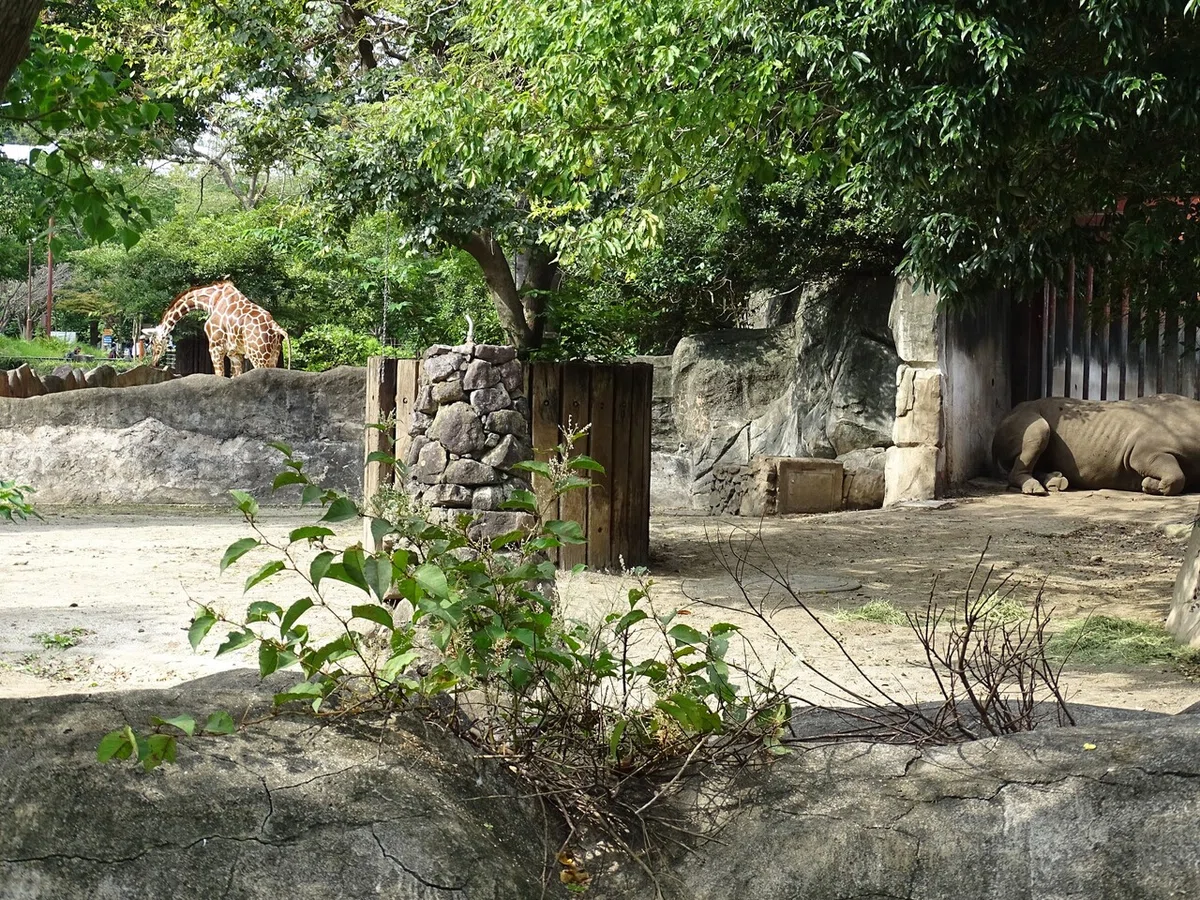 画像30