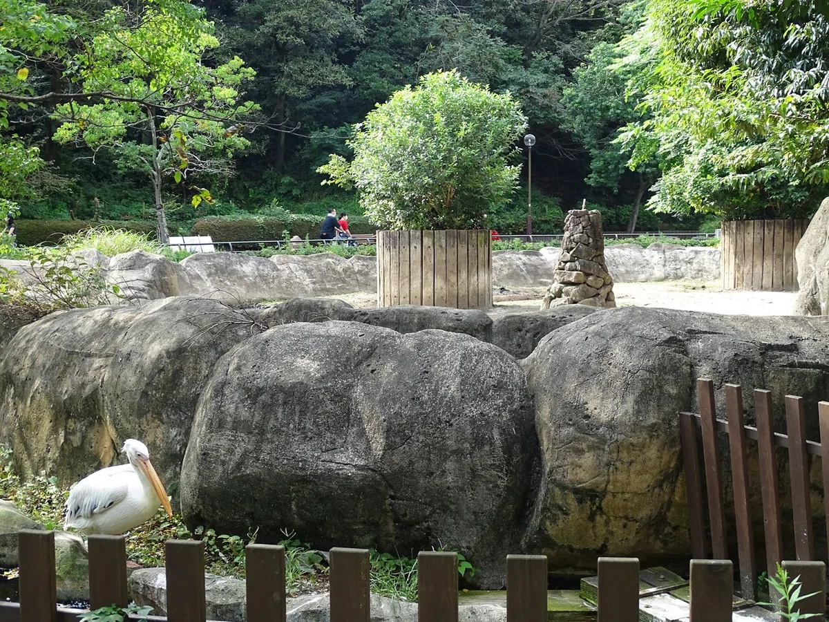画像40