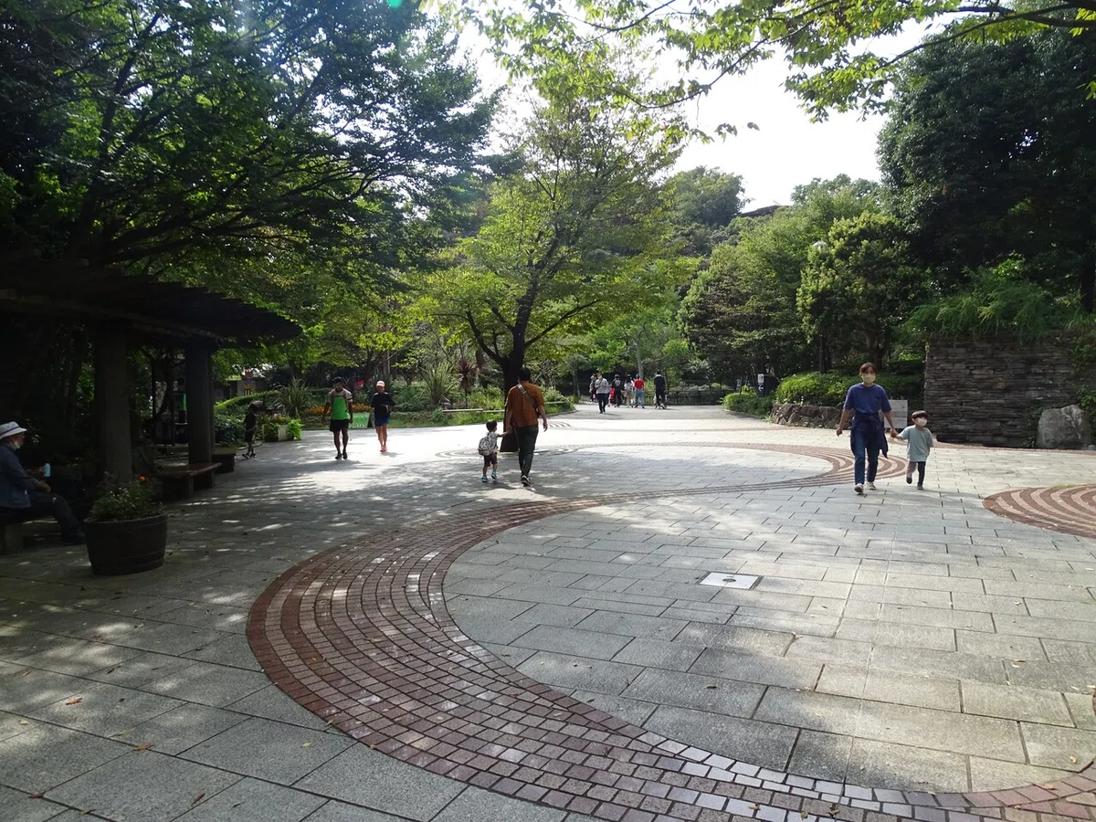 画像35