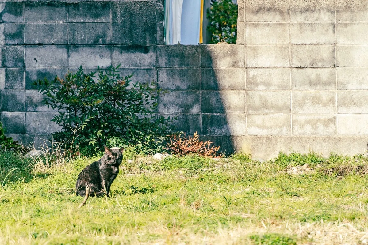 画像63