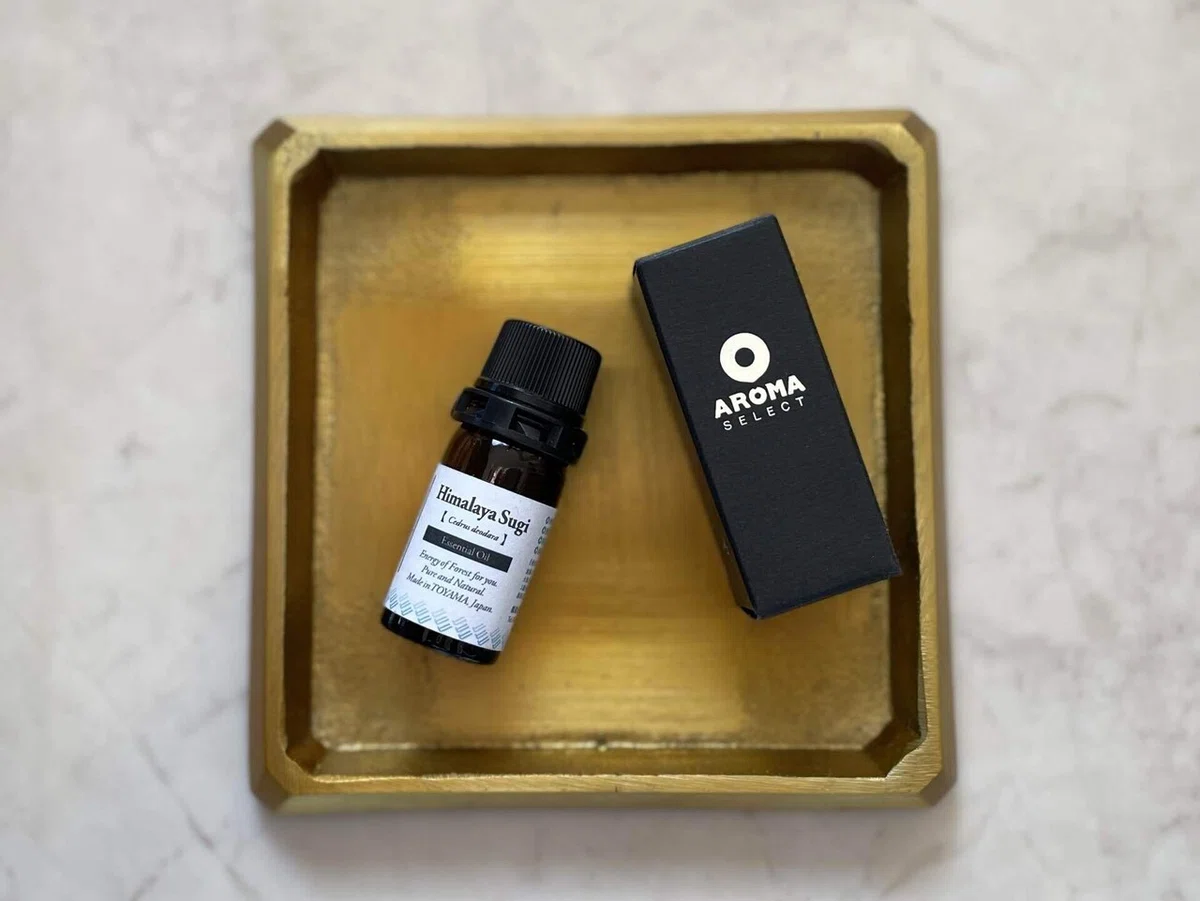 スギなのにスギじゃない精油のお話｜AROMA SELECT