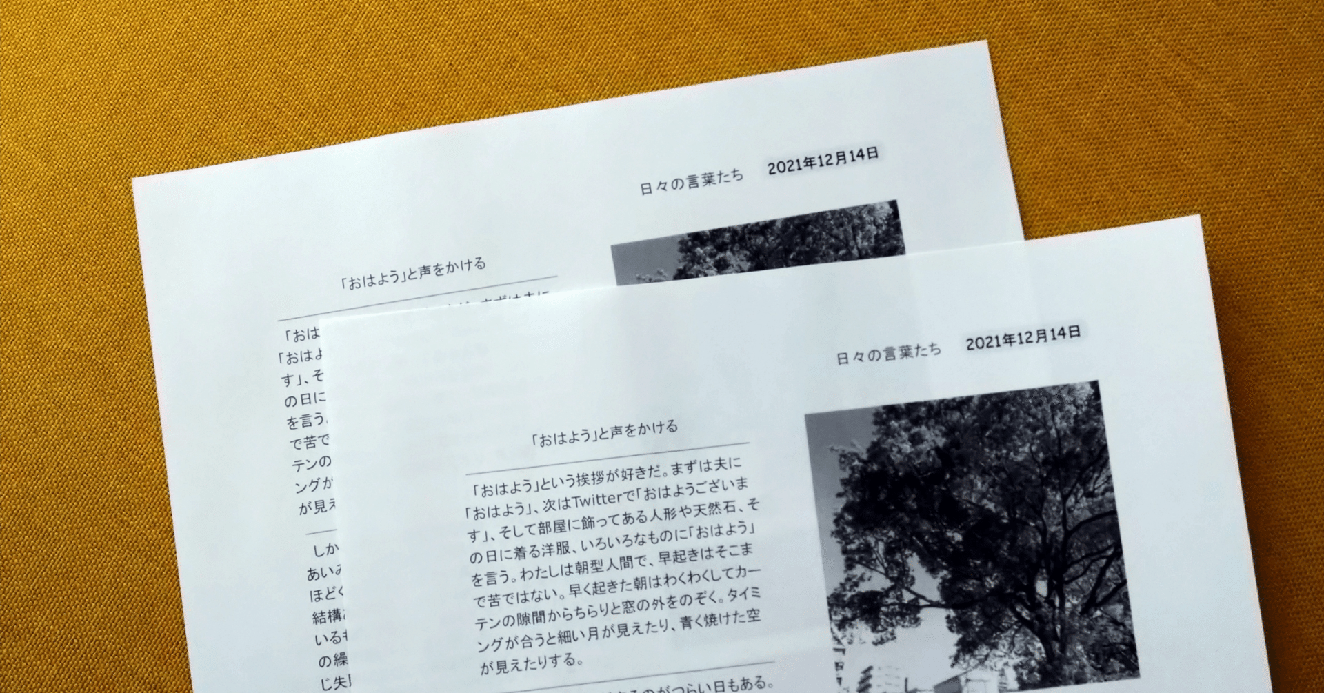 ネットプリントはじめました 近況報告 小川葵 Note