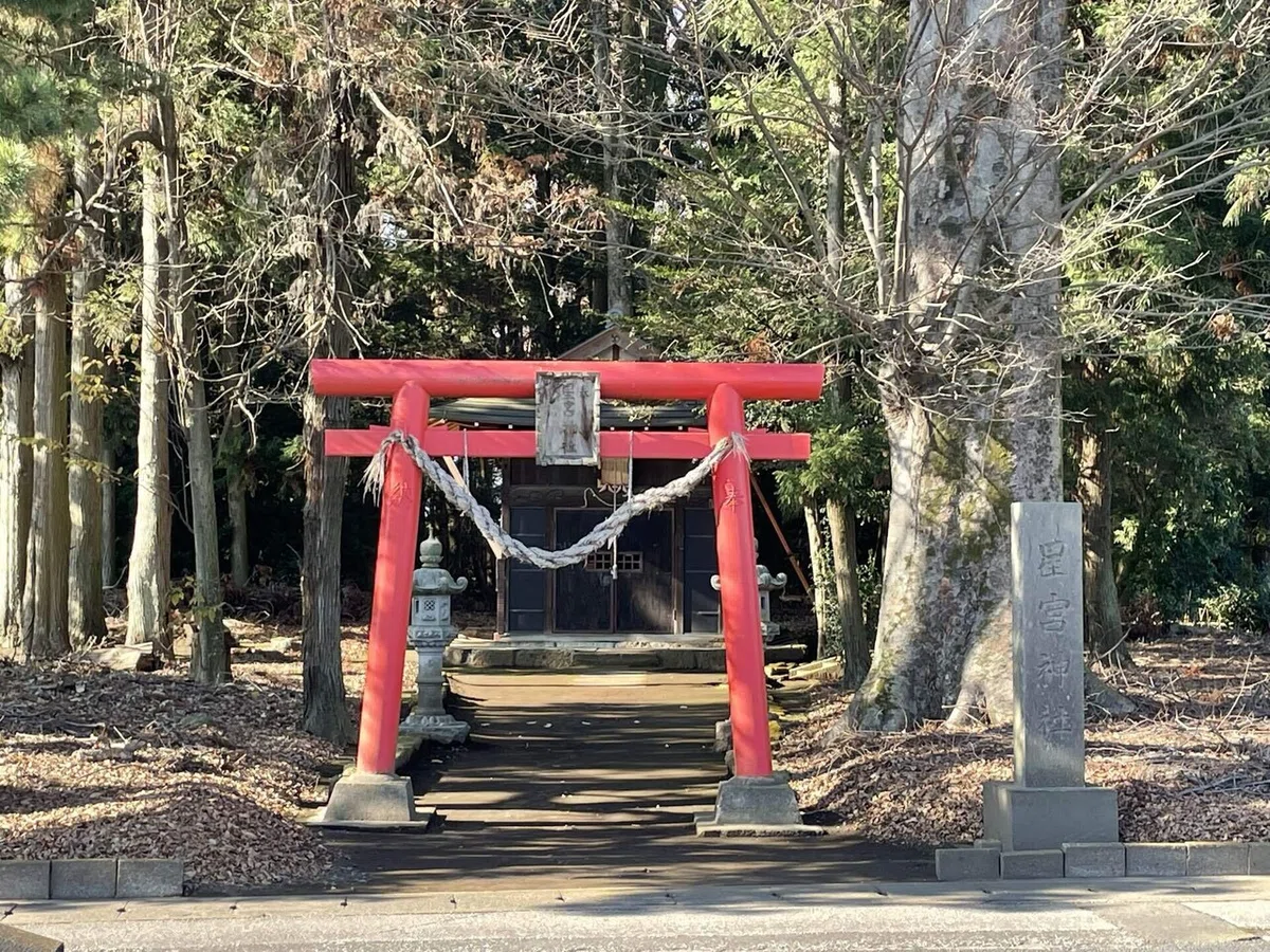 画像142
