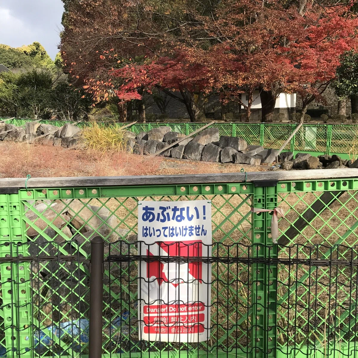 画像13