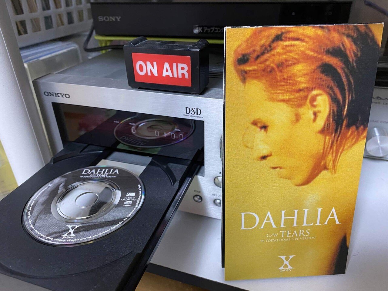 毎日1枚短冊CD 260｜清水Liff竹菜